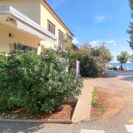 Room Fiore Novigrad Istria Eksteriør bilde